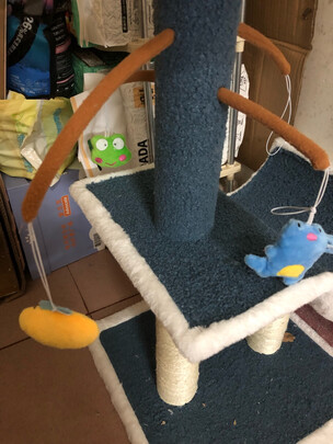 猫爬架
