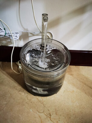 宠物饮水机