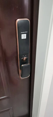 凯迪仕K20-W智能锁|客观评价凯迪仕K20-W智能锁怎么样？上手三周说真相