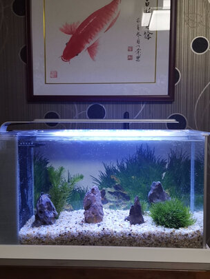 鱼缸底沙
