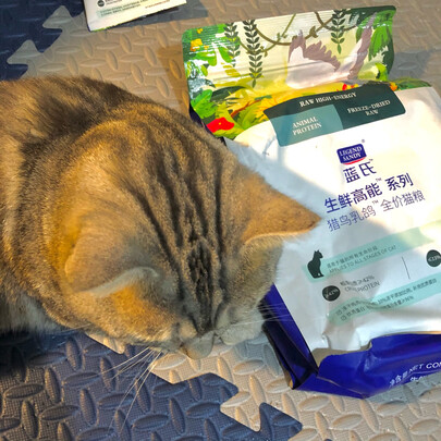 猫粮