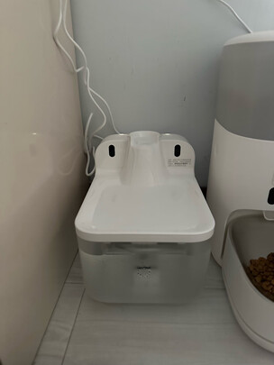 宠物饮水机