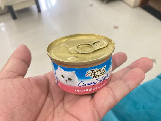 猫罐头