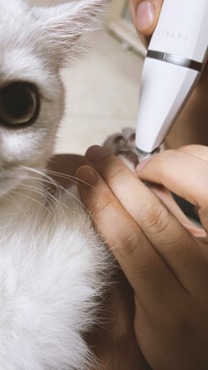  猫咪剃脚毛器