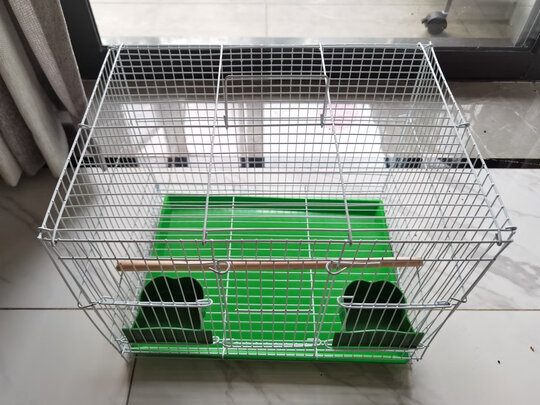 鸟笼