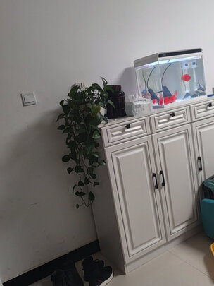 鱼缸造景石头