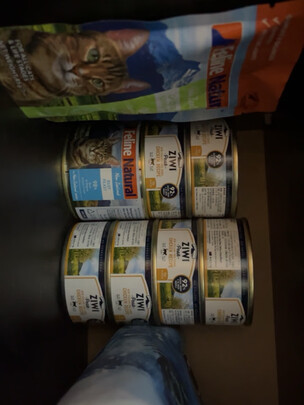 猫罐头