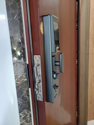 智能锁|用户揭秘王力X6PLUS智能锁好吗,入手解密评测真相