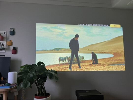 AOCT20选择五大雷区要慎重