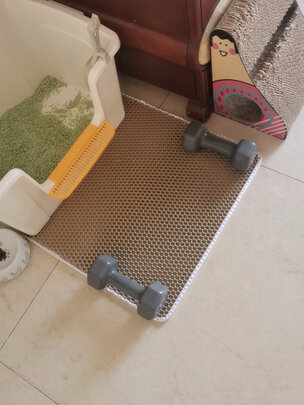 猫砂盆