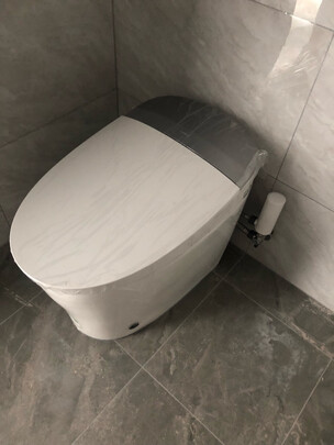 九牧ZS660-305智能马桶|参考剖析九牧ZS660-305智能马桶怎么样?深度测评剖析