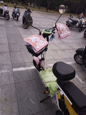 五星钻豹电动车 新国标电动自行车48V男女通用小型代步车成人外卖两轮电瓶车TDT56-1Z A1 源彩绿/源彩浅粉