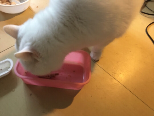 猫零食