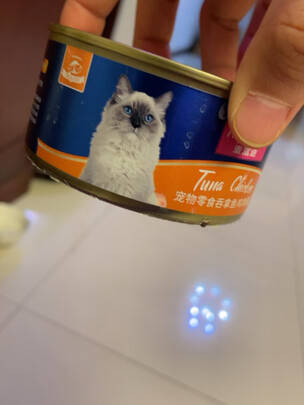 猫罐头