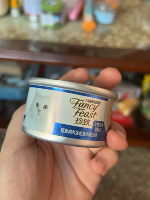 猫罐头