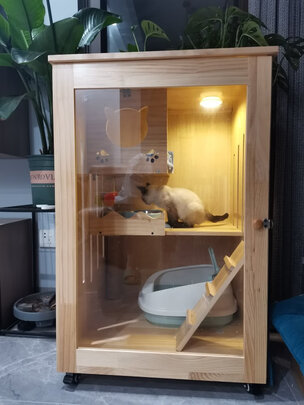  猫笼