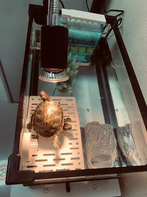 鱼缸换水器