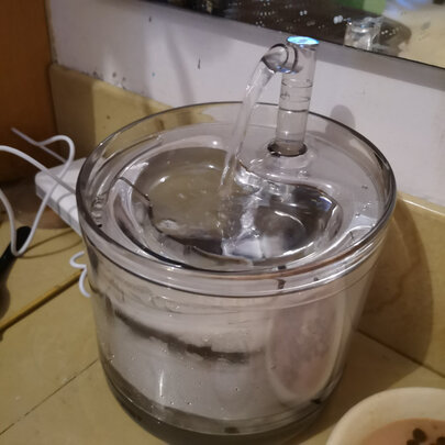 宠物饮水机