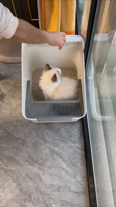 猫砂盆