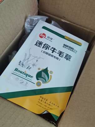 水草种子