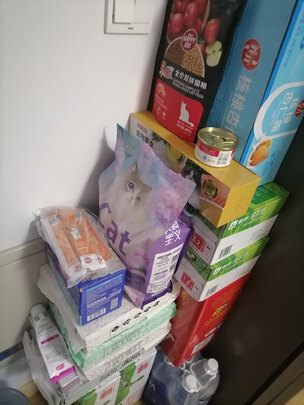 猫罐头