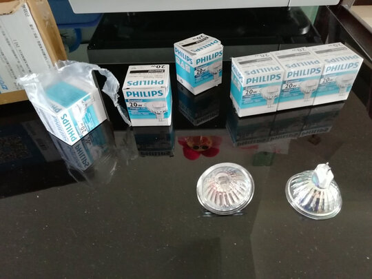 卤素灯杯