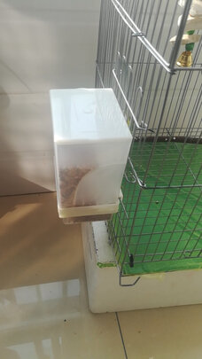 自动喂食器