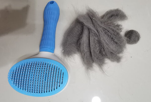 猫狗梳子