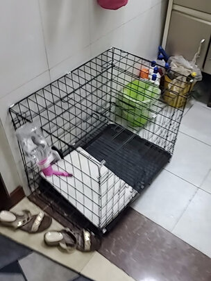 狗笼