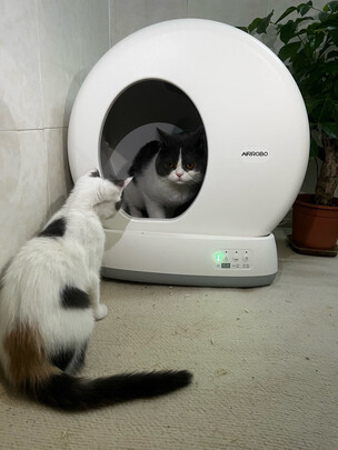 猫砂铲