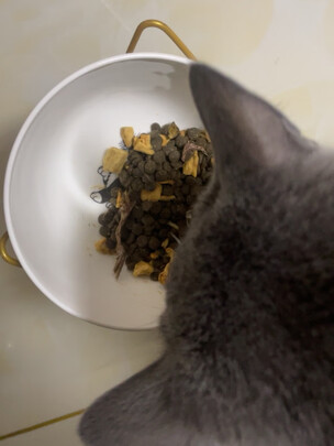 猫粮