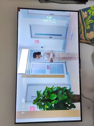 TCL雷鸟使用心得反馈