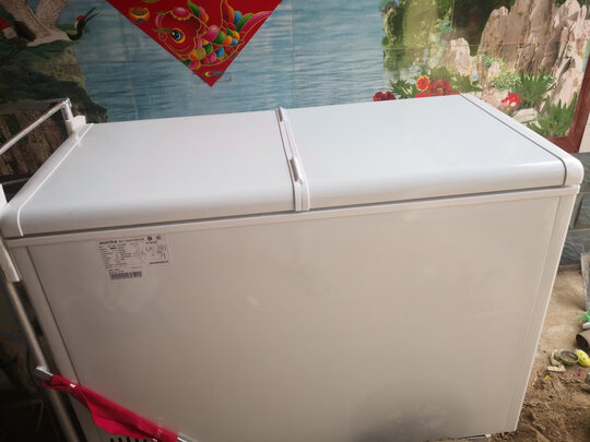 冰柜|澳柯玛BC/BD-306NE冰柜到底怎么样，参数如何！