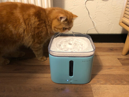 宠物饮水机