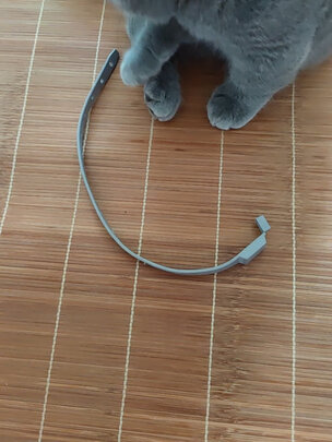 猫项圈