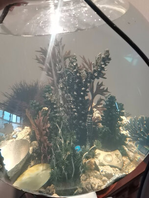 鱼缸水质稳定剂