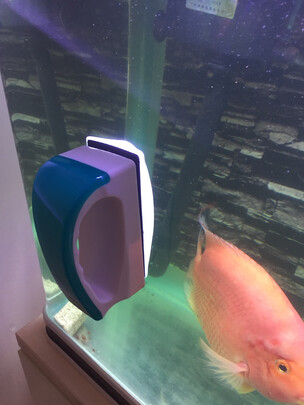鱼缸刷磁力刷