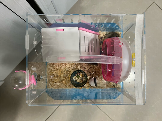 仓鼠水壶