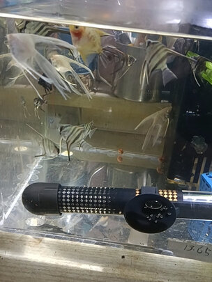 鱼缸净水剂