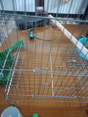 鸟笼