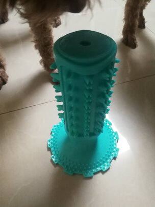 狗狗玩具