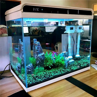 桌面鱼缸