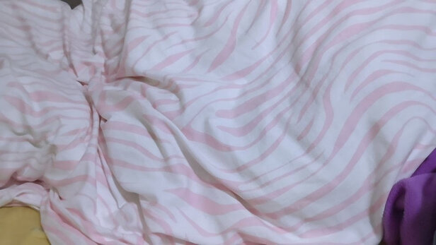 梦洁家纺甄暖95%白鹅绒厚被是哪里生产的，值吗