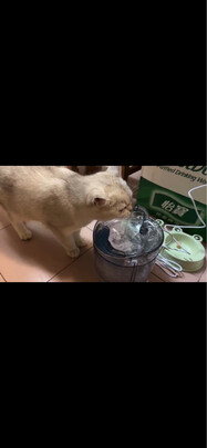 宠物饮水机