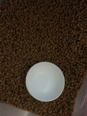 猫粮