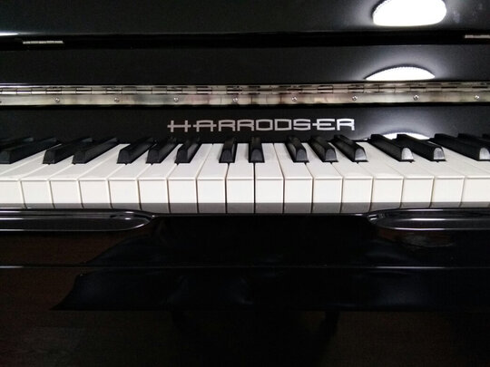 %title插图%num 哈罗德(HARRODSER)原装进口 立式钢琴 专业考级 家用教学 演奏钢琴C-1 121高度 黑色
