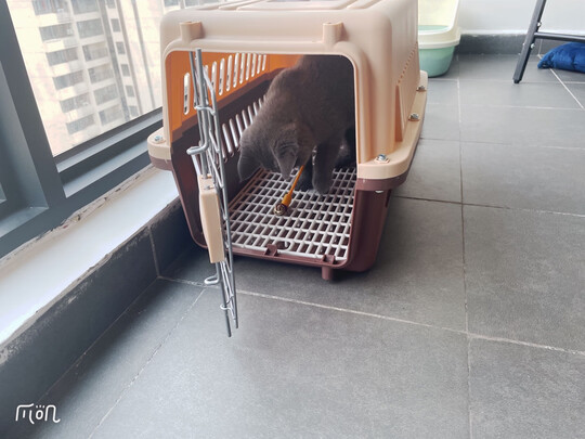 猫包
