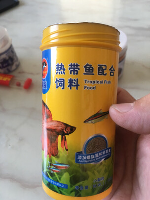 鱼粮