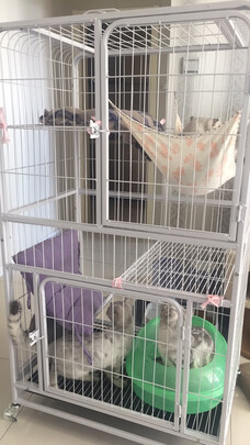  猫笼