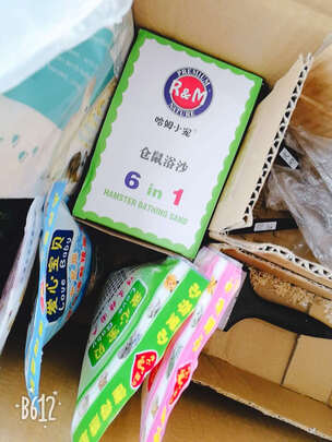仓鼠浴沙